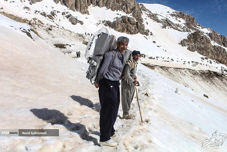 (تصاویر) کولبران کردستان
